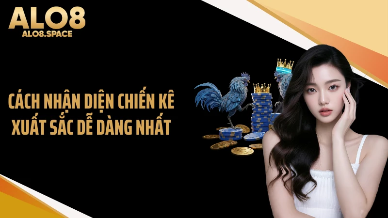 Cách nhận diện chiến kê xuất sắc dễ dàng nhất