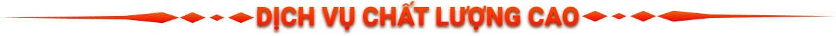 dich-vu-chat-luong-cao-alo8