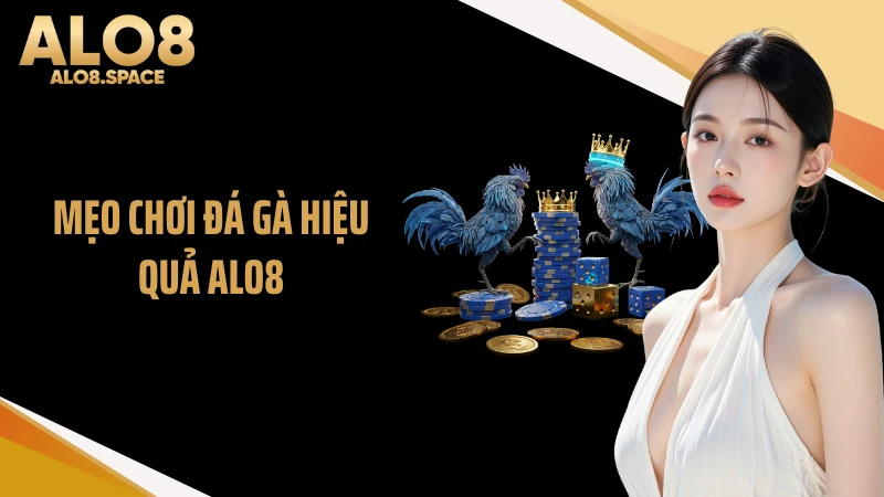 Mẹo Chơi Đá Gà Hiệu Quả ALO8 - 3 Cách Đánh Bại Nhà Cái