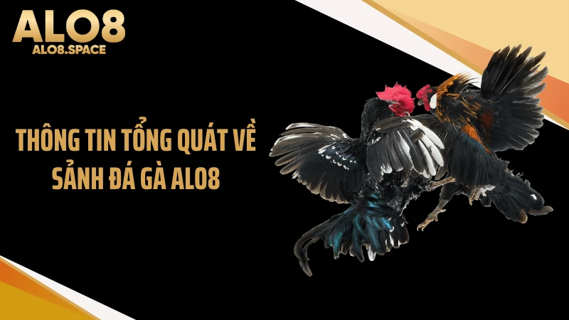 Thông tin tổng quát về sảnh đá gà ALO8