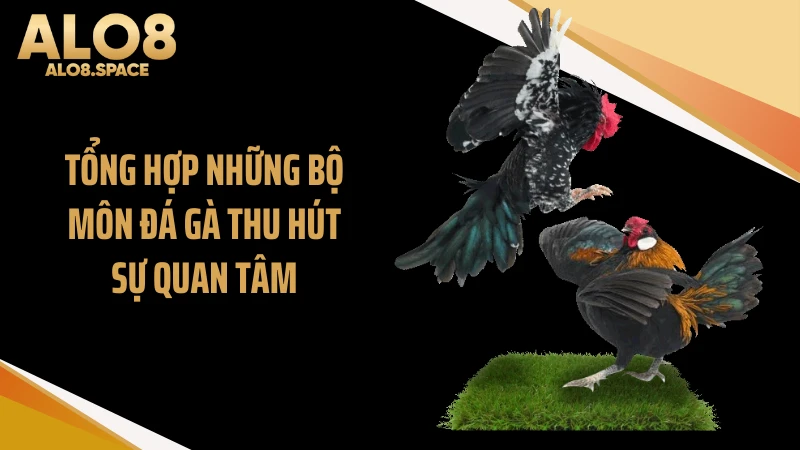 Tổng hợp những bộ môn đá gà thu hút sự quan tâm